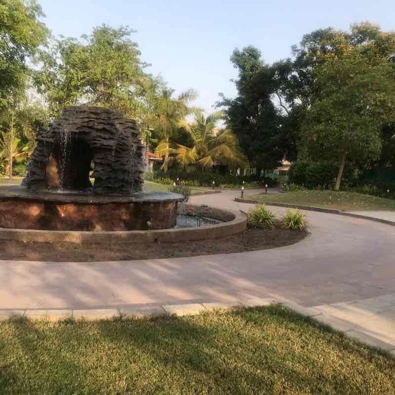 Weekend ka wow !!  Thank you nimba