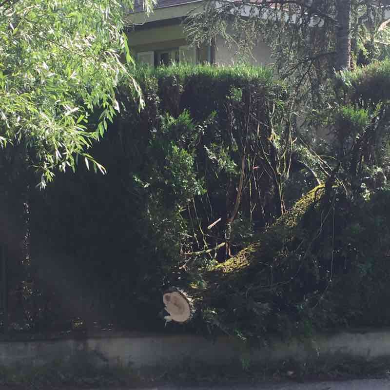 Storm of 1/07 walking route map in Sévrier