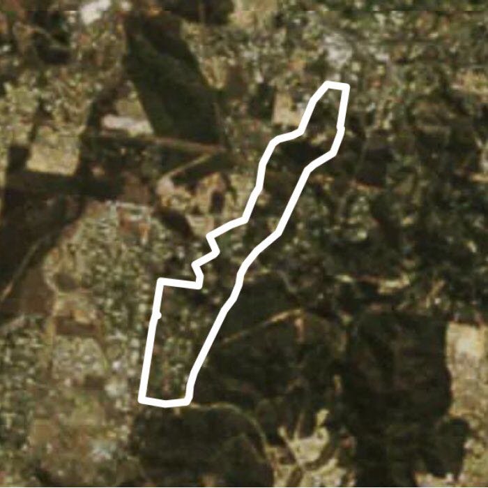 Bellbird walking route map in Bellbird Park