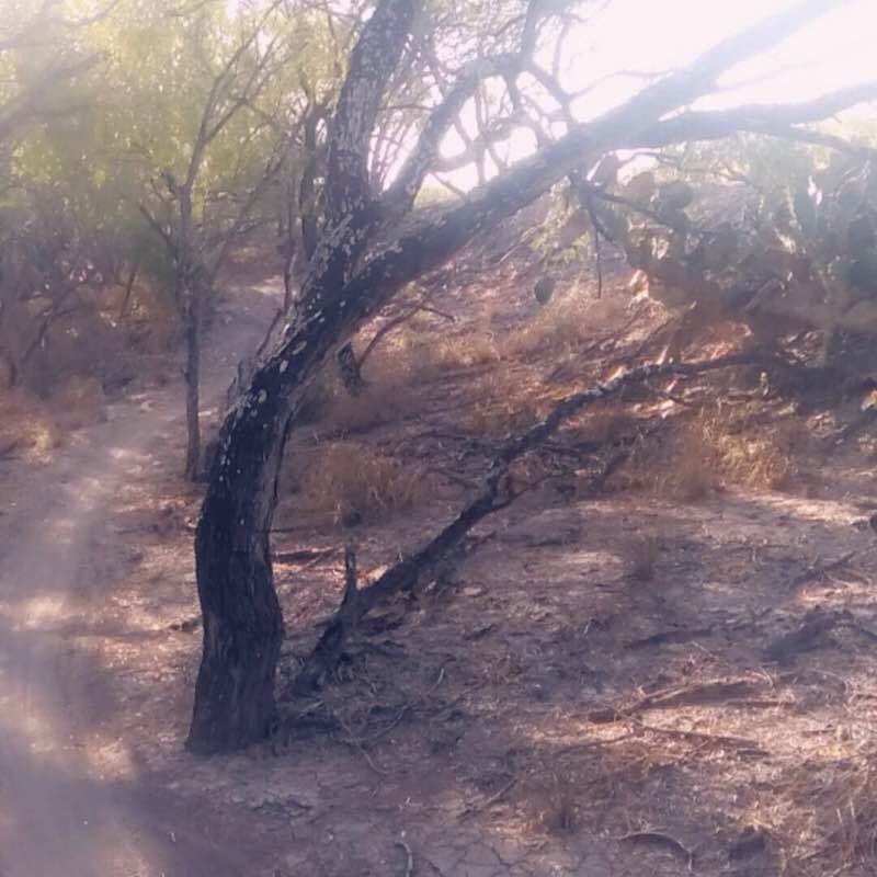 Hiking trails  walking route map in Mission