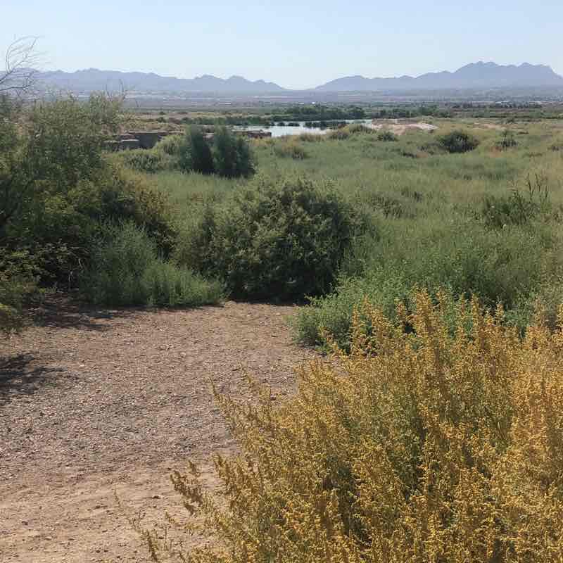 Wetlands park 