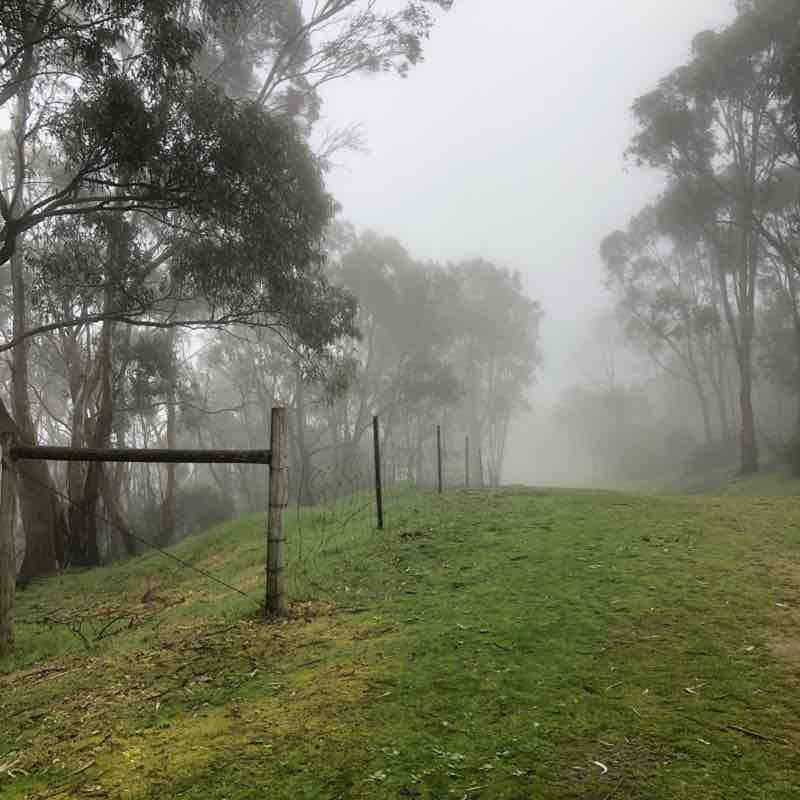 Anstey Torture Beauty