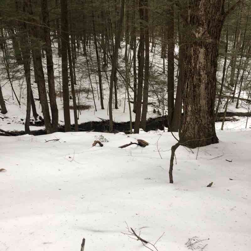 Finger lakes trail walking route map in Willseyville