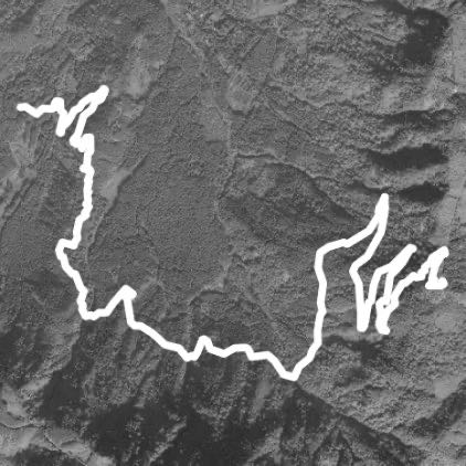 挑戰從探索森林走樹根接鳳凰林道往天文台登頂成功