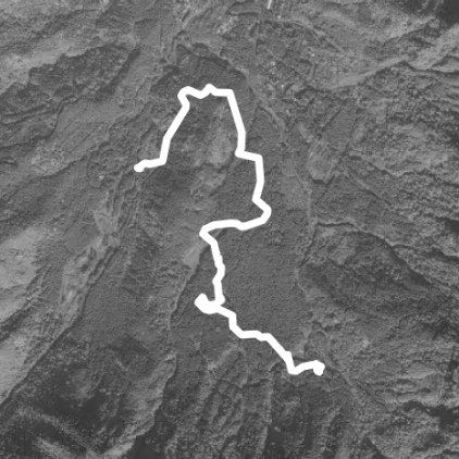 溪頭青年活動中心退房去神木區泡茶