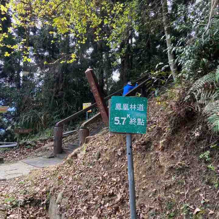梅竹樓出發往神木步道走鳳凰林道5.7K登天文臺上暸望台