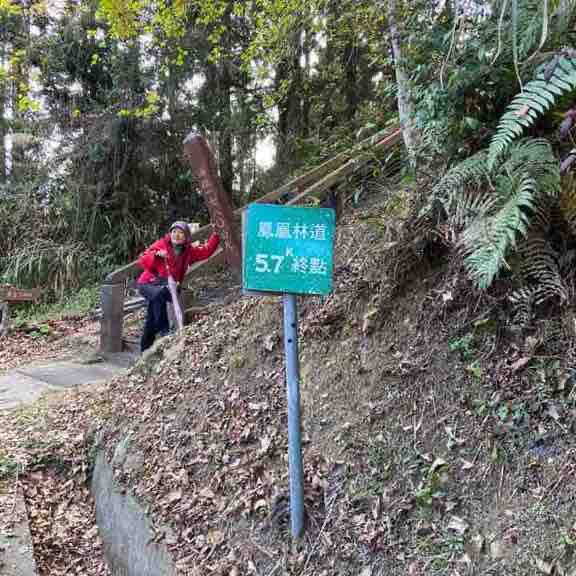 鳳凰林道5.7K下坡回梅竹樓