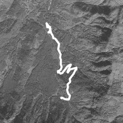 溪頭神木區下山至員林客運妖怪村