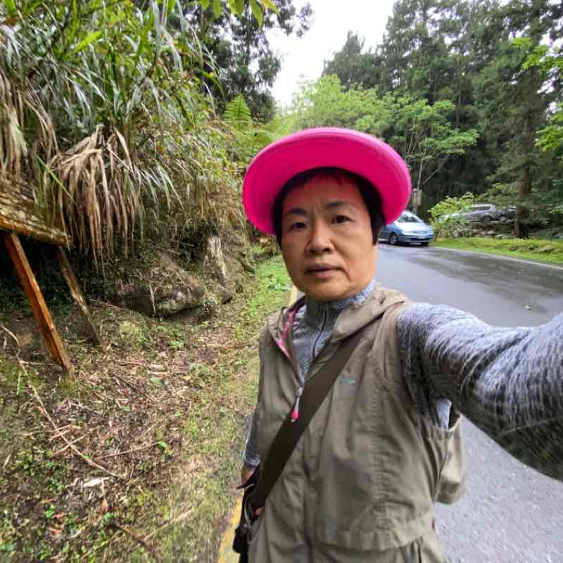 溪頭青年活動中心往森林遊樂區-妖怪村-大學坑賞螢趣