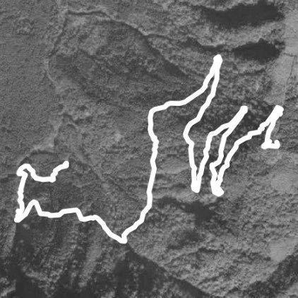 溪頭鳳凰林道0K出發經巨石步道終點天文台