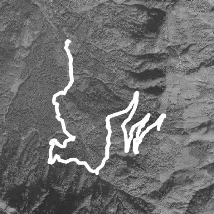 神木步道往鳳凰林道天文臺登頂趣