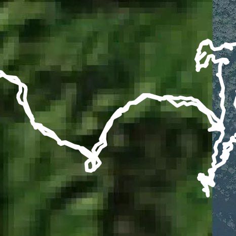 拉拉山（達觀山）巨木群