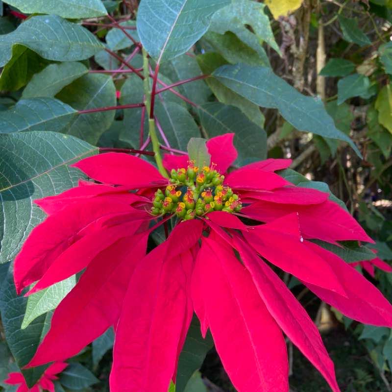 溪頭青年活動中心至6883員林客運