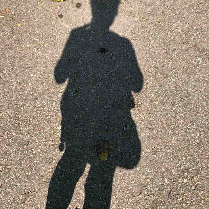 鳳凰林道0.5K上巨石