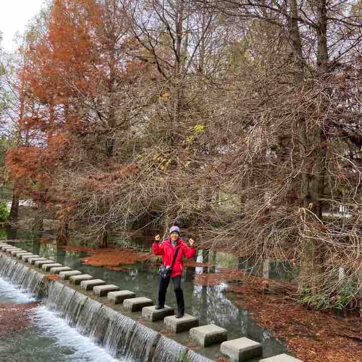 雲山水凋零的落雨松