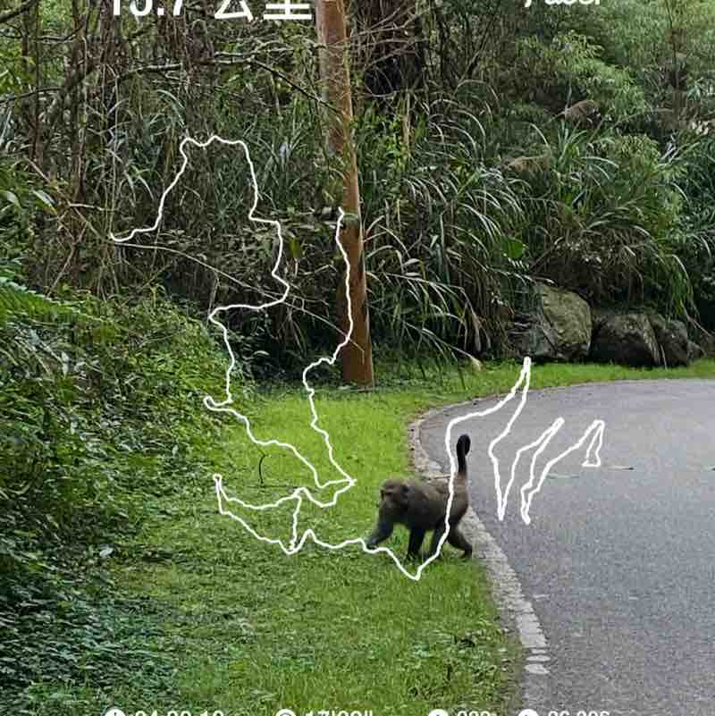 殘障復健溪頭天文台登頂成功