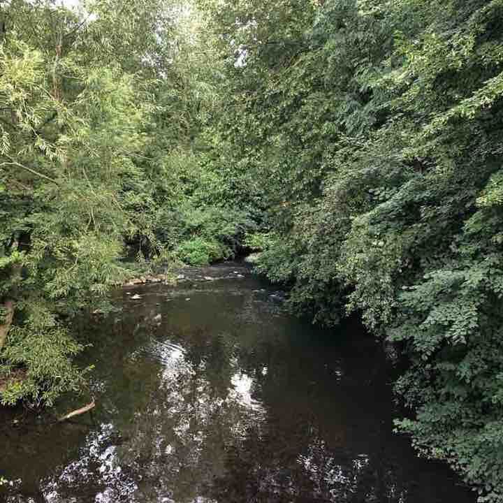 Relaxing walk around Baginton Village  walking route map in Baginton
