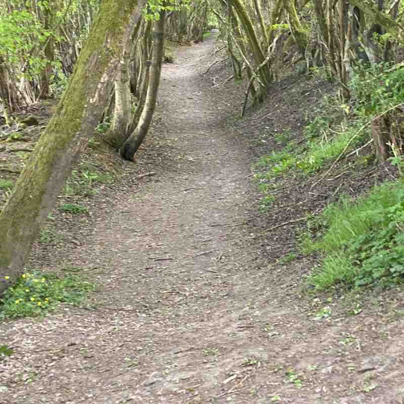 bullbridge walk