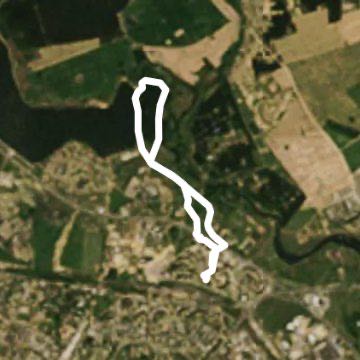 Лесопарк Дрозды