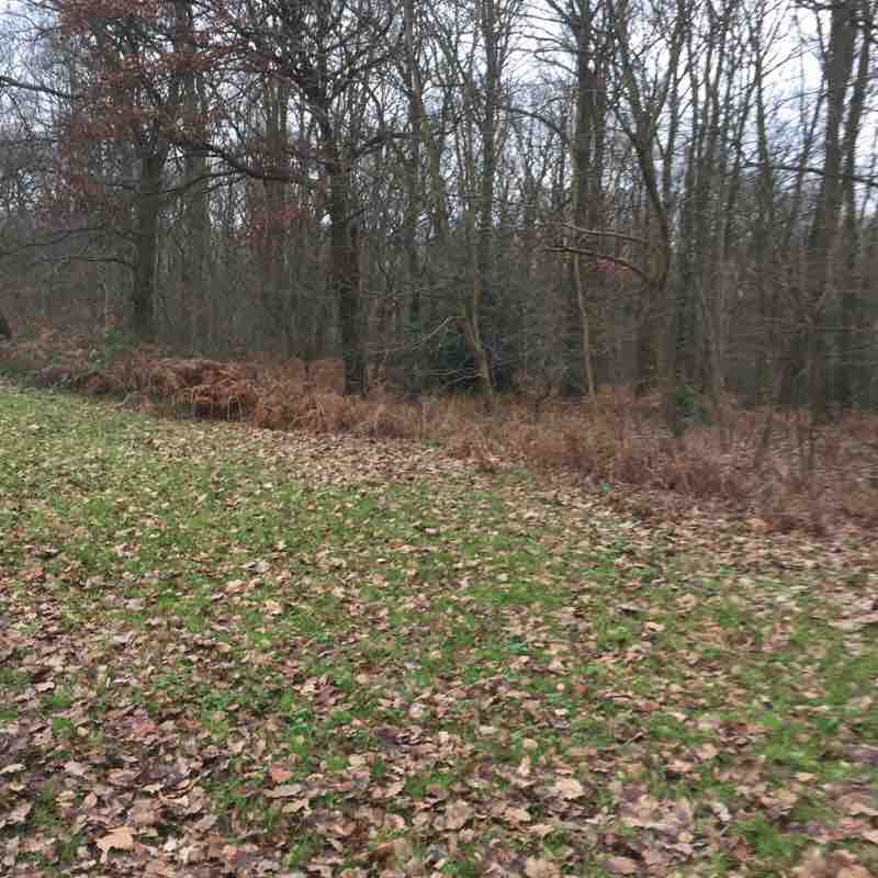 4.10 Km route in Val-d'Oise, France walking route map in Taverny