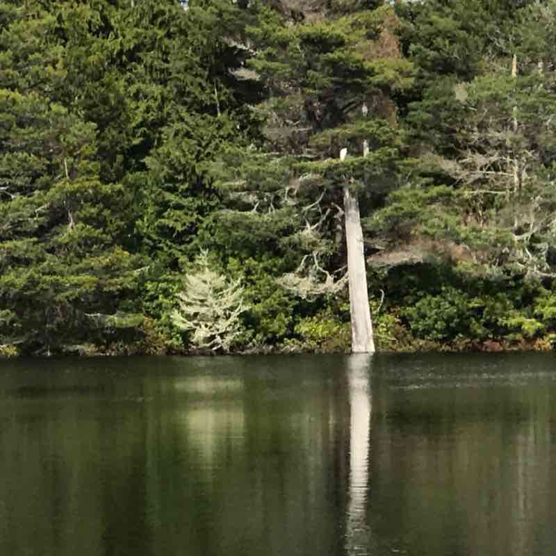 Empire Lakes scenic nature walk walking route map in North Bend