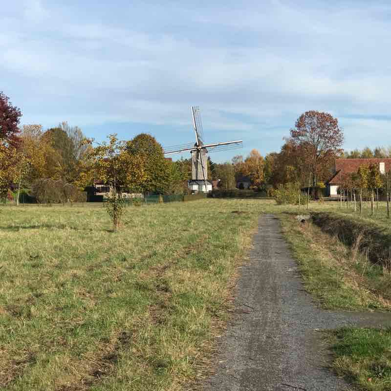 Walk st-m-Latem walking route map in De Pinte