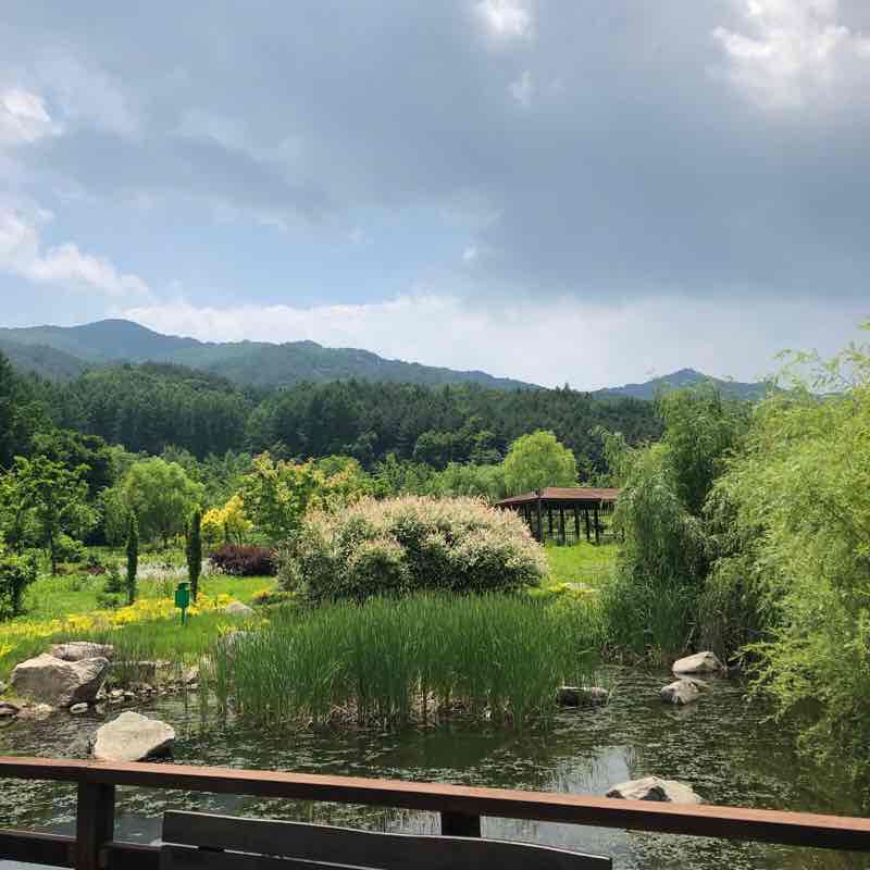 Baekdudaegan Arboretum walking route map in Bonghwa-gun