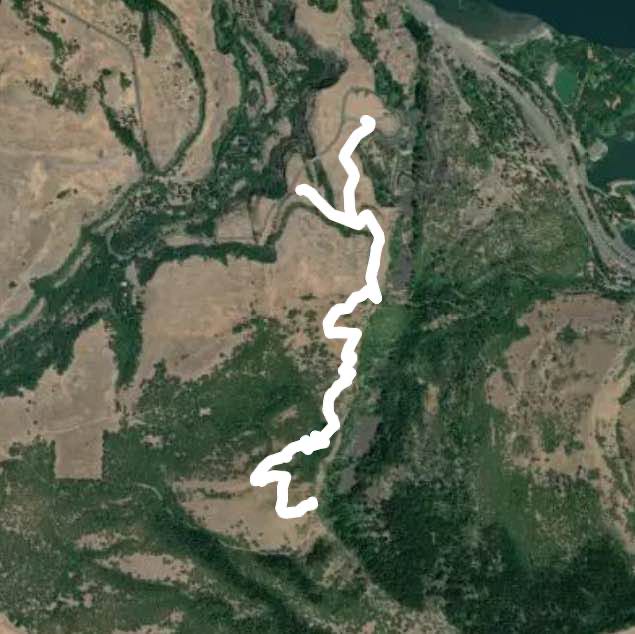 Tom McCall Point Trail
