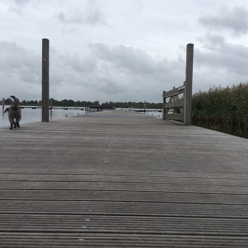 Zeewolde Wolderwijd walking route map in Ermelo