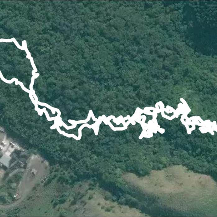 Barry Hadfield Nikau Reserve