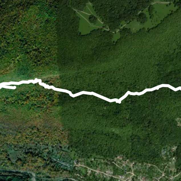 Орлиная полка