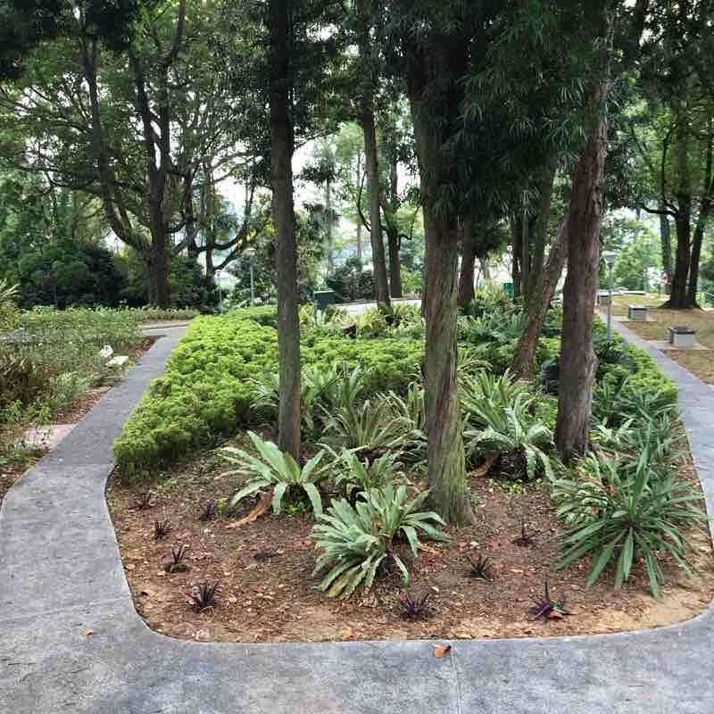 Pearls Hill Singapore