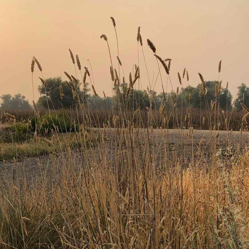 Sacramento national wildlife refuge visitor center