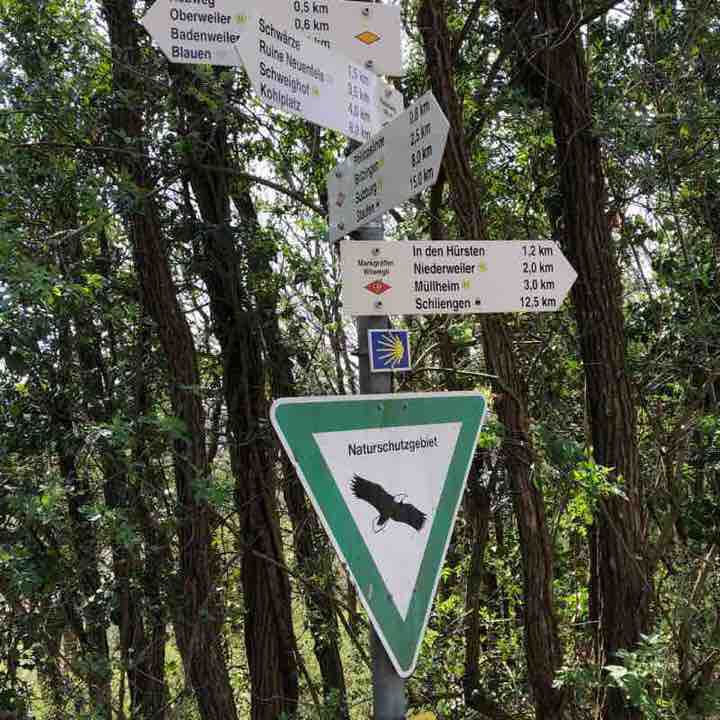 Römerberg walking route map in Müllheim im Markgräflerland