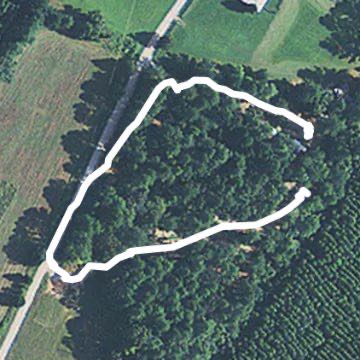 Callaway Plantation 1/23/20 walking route map in Washington