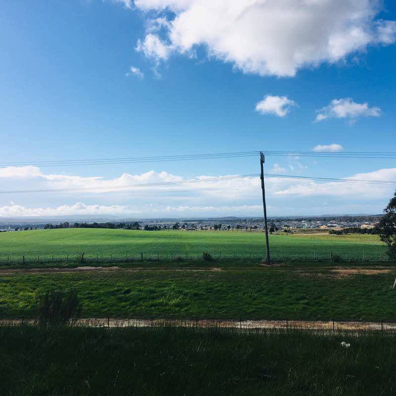 Mickleham  walking route map in Mickleham