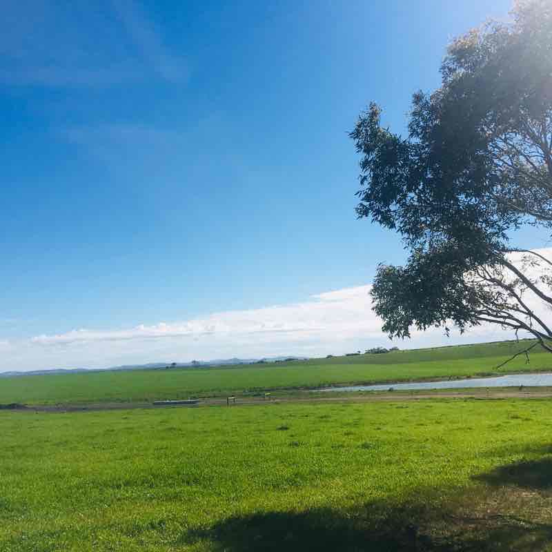 Mickleham  walking route map in Mickleham