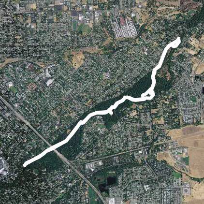 Lower Bidwell creekside