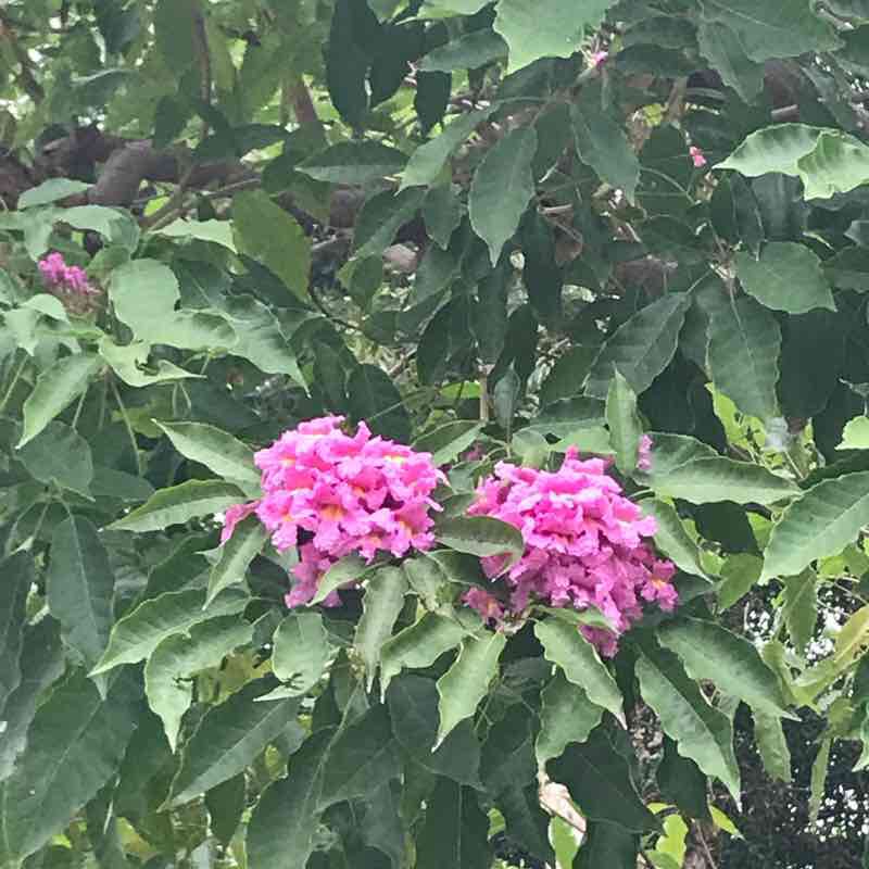 台北市國父紀念館走一圈