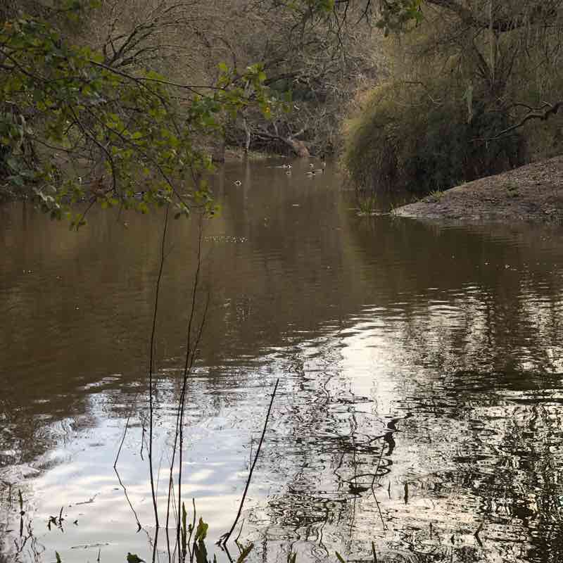 Paso Robles Casual Walk walking route map in Adelaide