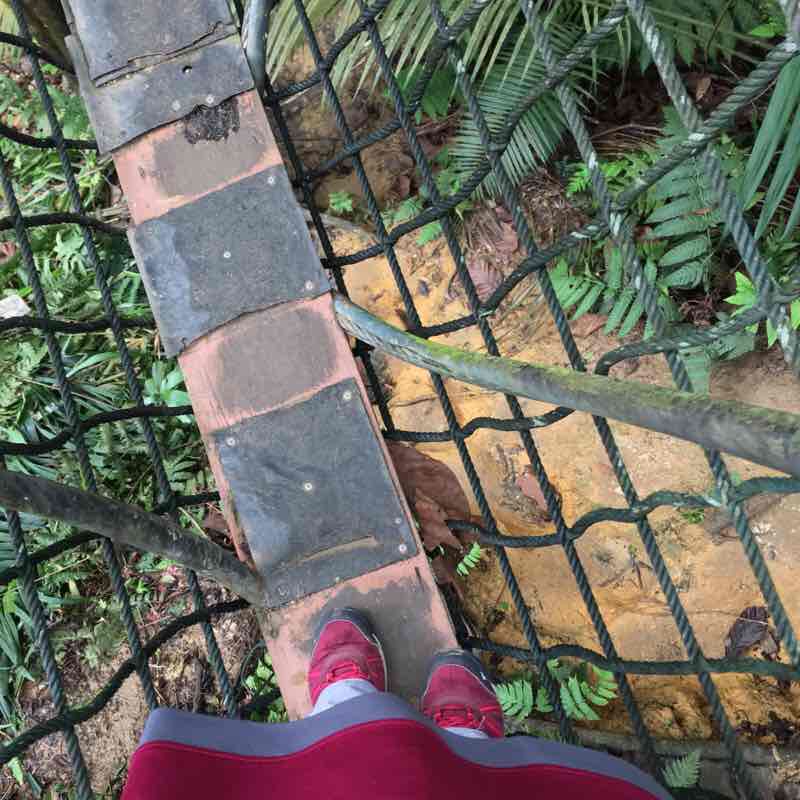 Bukit Gasing via Pantai Hill Park