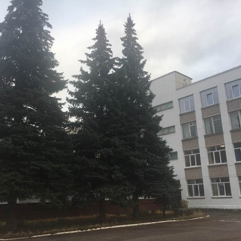 Школа олимпийского резерва