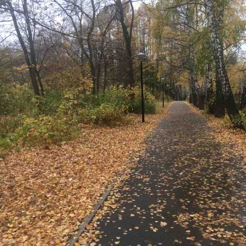 Проспект Октября осенью 