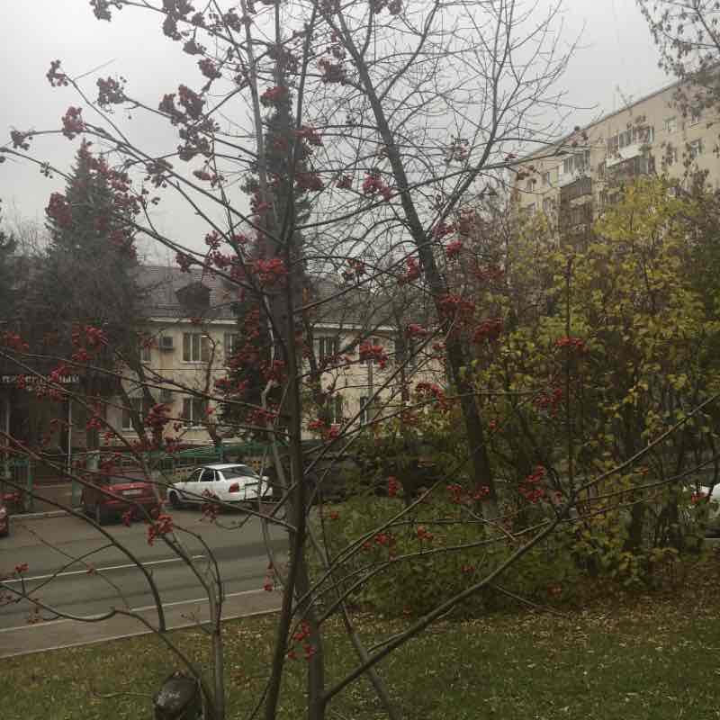 Черниковка.... дом- книжка 