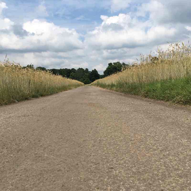 Little Levars and back walking route map in Veľké Leváre