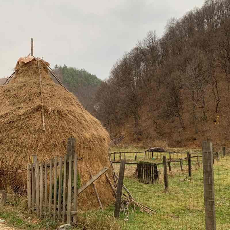 Poiana Marului walking route map in Poiana Mărului