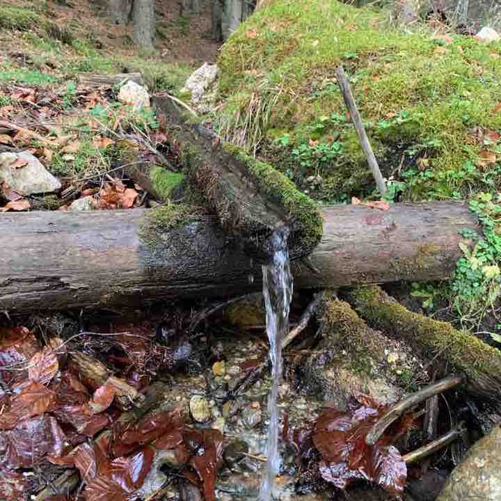 Zarnesti Canyon walking route map in Măgura