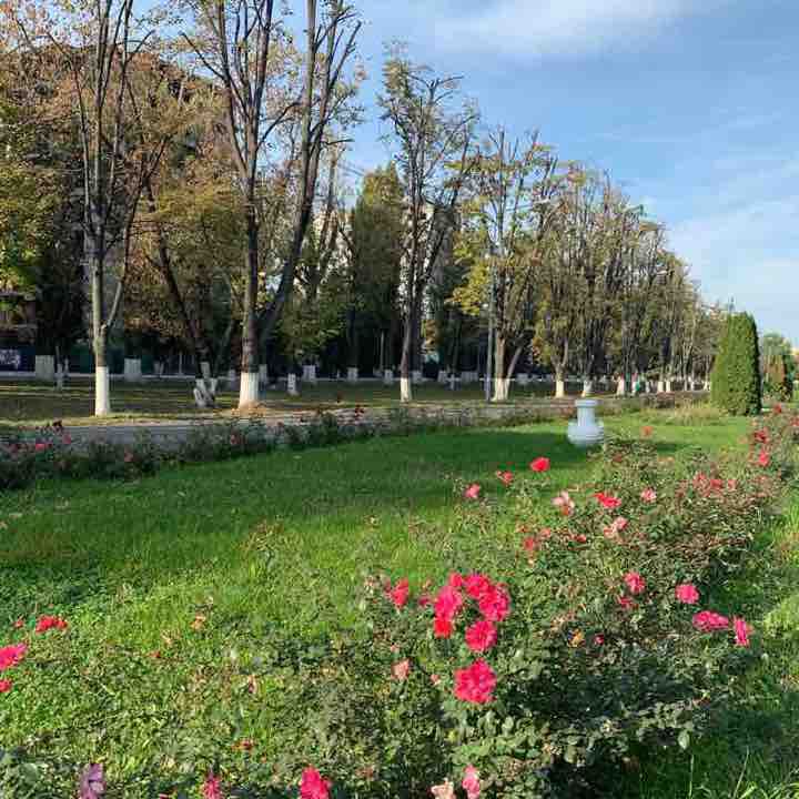Politehnicii Park