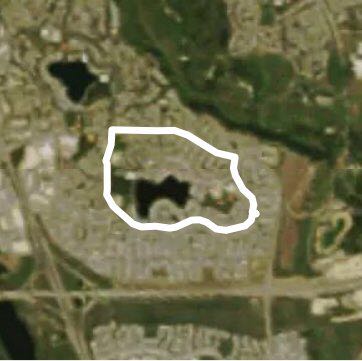 Ryan’s glorious dog walk