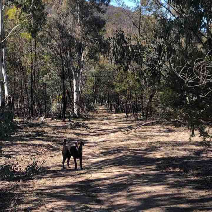 Fisher Nature Reserve walking route map in Fisher